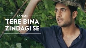 Tere Bina Zindagi Se - Sanam Puri Lyrics In Hindi & English