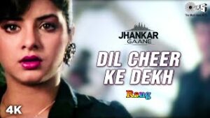 Dil Cheer Ke Dekh Hindi| Kumar Sanu Lyrics