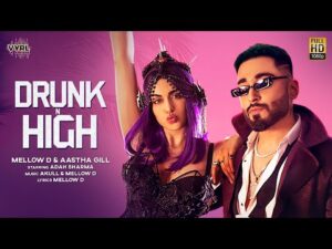 Drink N High| Mellow D Aashta Gill Lyrics