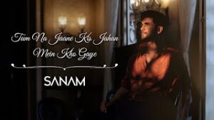 Tum Na Jaane Kis Jahan Mein Kho Gaye| Sanam Puri Lyrics