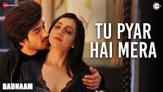 Tu Pyar Hai Mera| Yasser Desai Lyrics