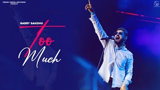 Too Much Punjabi| Garry Sandhu Lyrics