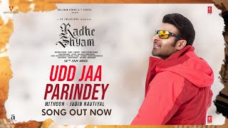 Udd Jaa Parindey Hindi| Jubin Nautiyal Lyrics