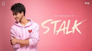 Stalk - Kushagra Lyrics