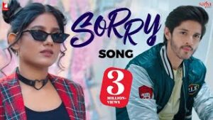 Sorry Song - Raman Romana Lyrics