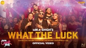 What The Luck Lyrics - Mika Singh