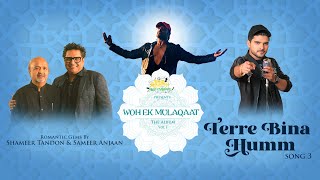 Terre Bina Humm Lyrics - Salman Ali