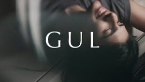 Gul Lyrics - Anuv Jain