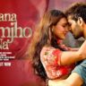 Jaana Samjho Na Lyrics- Aditya Rikhari | Tulsi Kumar