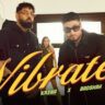 Vibrate Lyrics Krsna Badshah