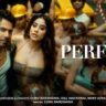 Perfect Lyrics Guru Randhawa Janhvi Kapoor.